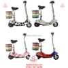Xe-dien-mini-E-scooter-BL-350-13