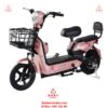 Xe-dap-dien-Gicinu-SK-8-gia-re-02
