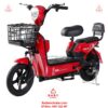 Xe-dap-dien-Gicinu-SK-8-gia-re-08
