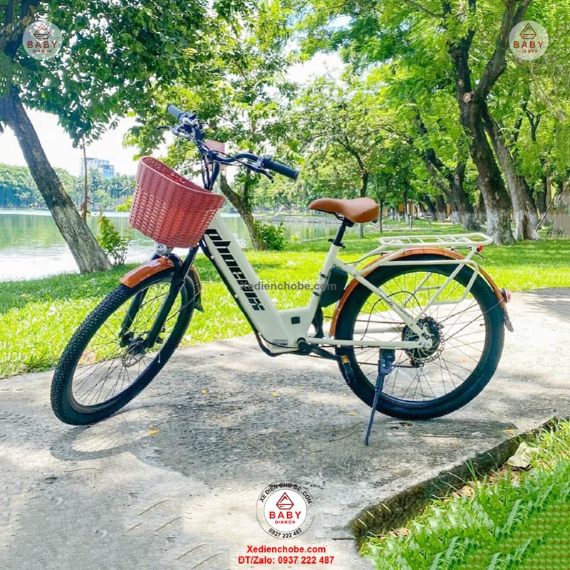 Xe Đạp Trợ Lực Điện Nội Địa Trung Dùng Được Bao Lâu?