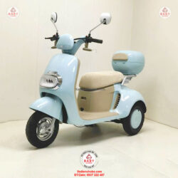 Xe điện 3 bánh