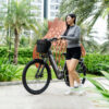 Xe đạp điện trợ lực Phoenix D2, chính hãng