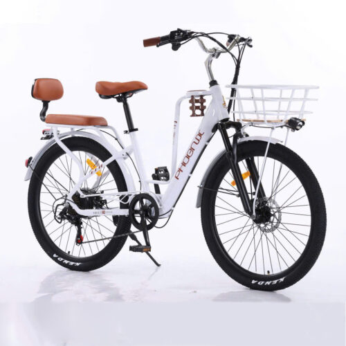 Xe đạp điện trợ lực Phoenix 2, hàng nhập khẩu