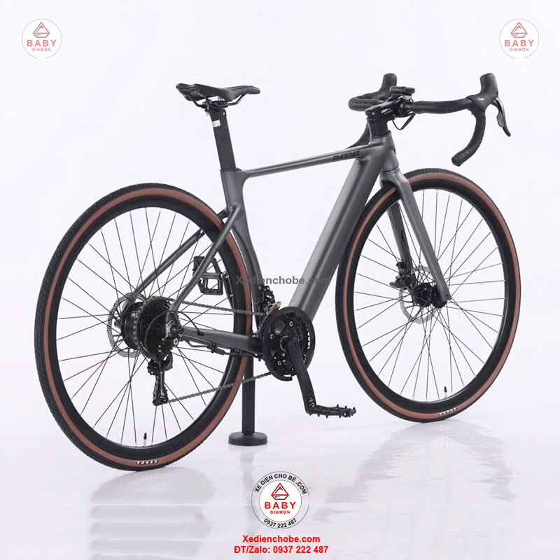 Xe-dap-dien-tro-luc-Phoenix-Pro-P1-kieu-dang-xe-dua-1