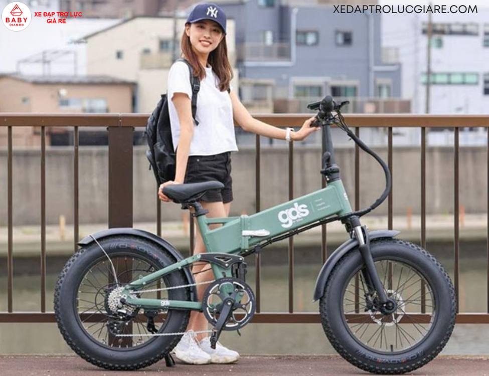 xe đạp trợ lực Nhật