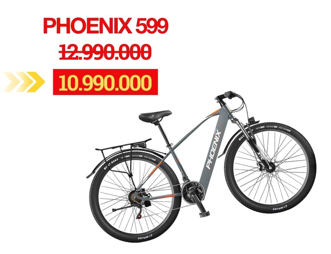 Phoenix 599