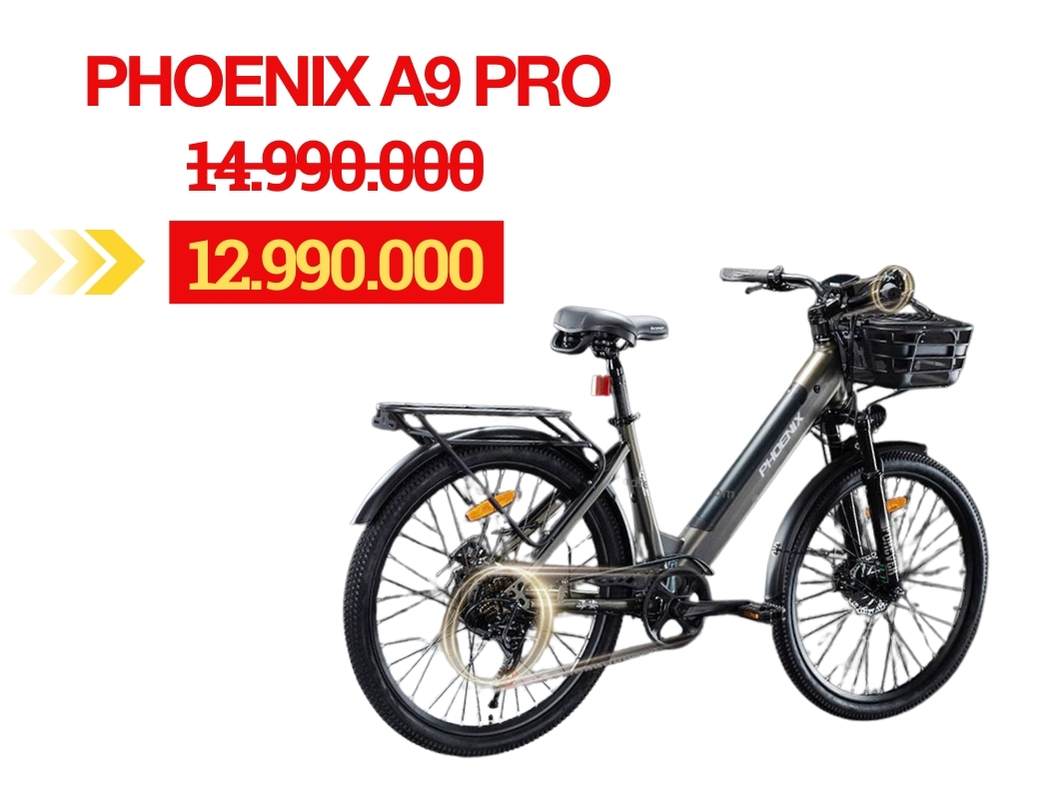 Giá xe đạp trợ lực điện cho học sinh