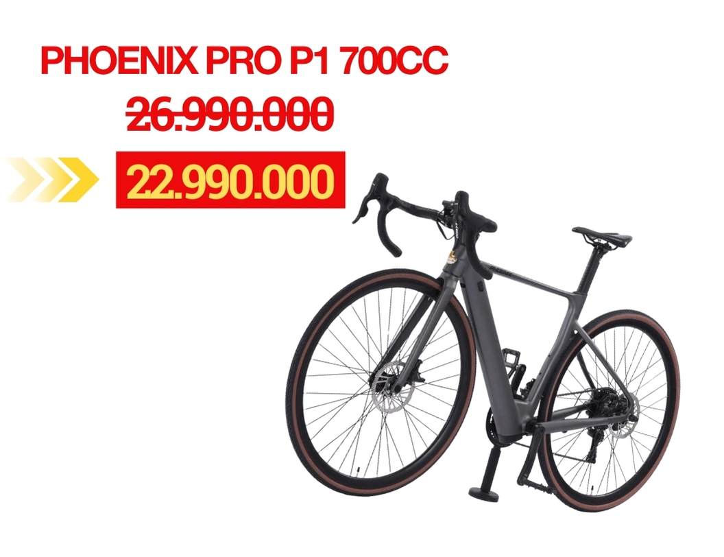 Phoenix Pro P1 700cc