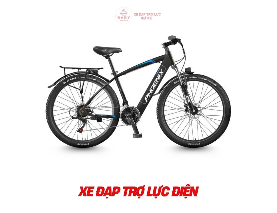 Xe trợ lực điện