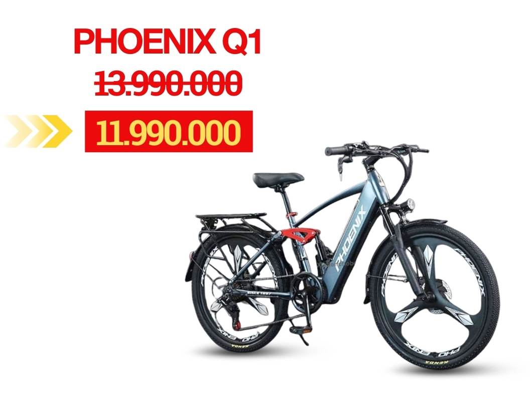 Phoenix Q1