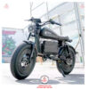 Xe-dap-dien-tro-luc-Fission-60v-3000w-02