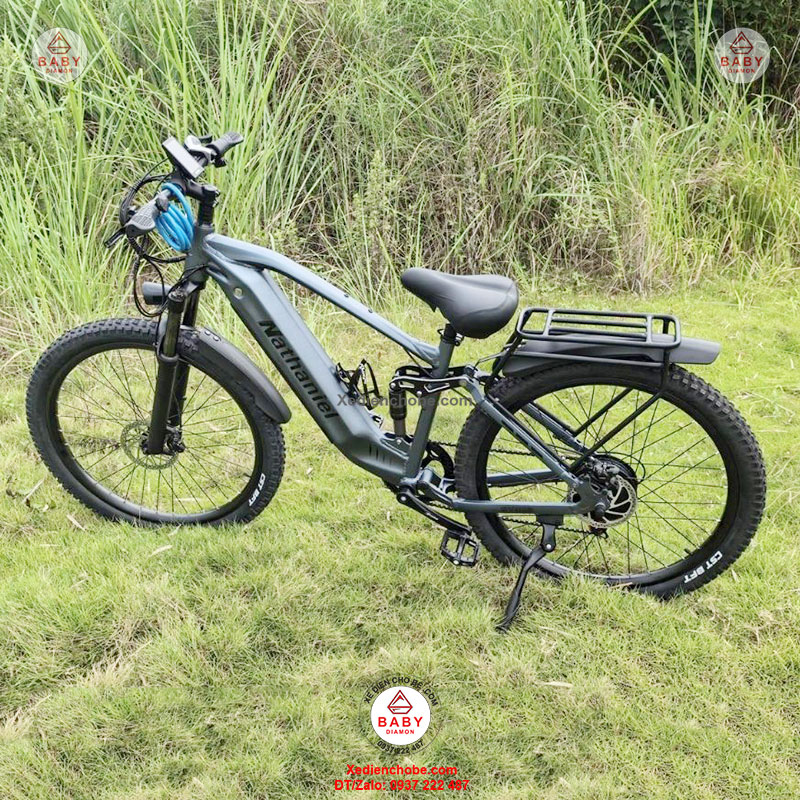 xe đạp trợ lực điện nhập khẩu Châu Âu