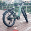 Xe-dap-tro-luc-Shengmilo-K500-Pin-roi-07
