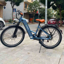 Xe điện trợ lực Phoenix TR1