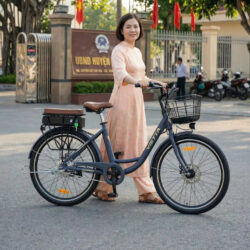 Xe đạp trợ lực Vietta V3, thương hiệu Việt