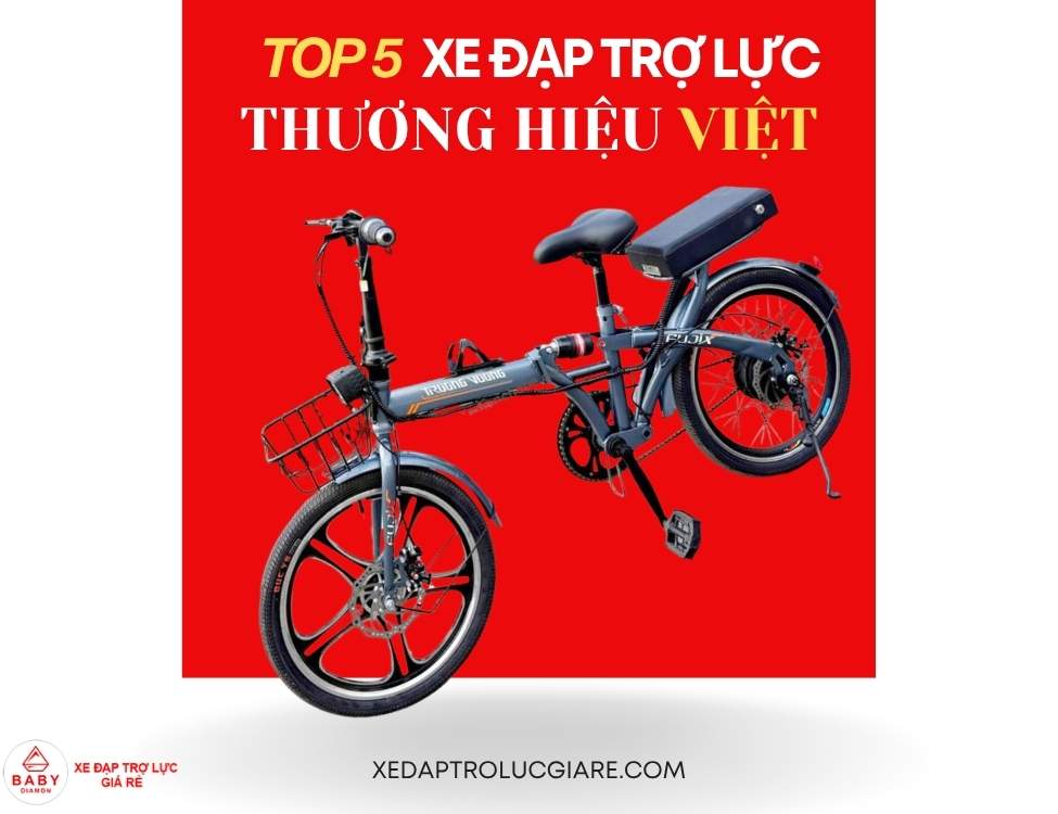 xe đạp trợ lực thương hiệu Việt