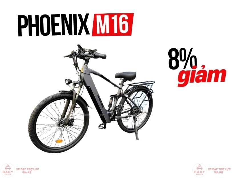 Xe đạp trợ lực điện nội địa Trung giá dưới 20 triệu