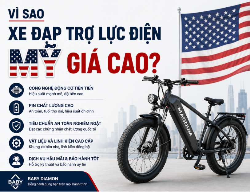 Vì sao xe đạp trợ lực điện Mỹ giá cao?