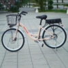 Xe đạp trợ lực Rapidx R1