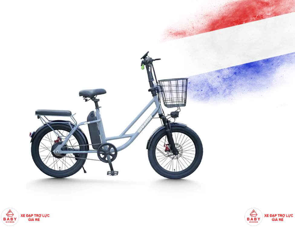 Xe đạp trợ lực điện Hà Lan phù hợp đi phố không?