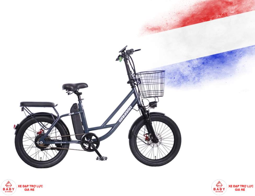 Xe đạp trợ lực điện Hà Lan phù hợp đi phố không?