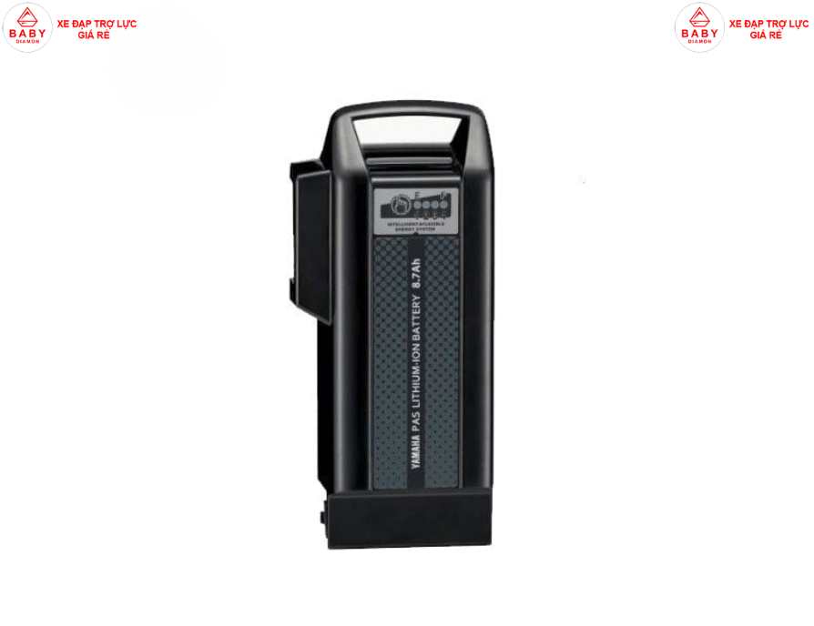 Xe đạp trợ lực điện giá rẻ dùng pin gì