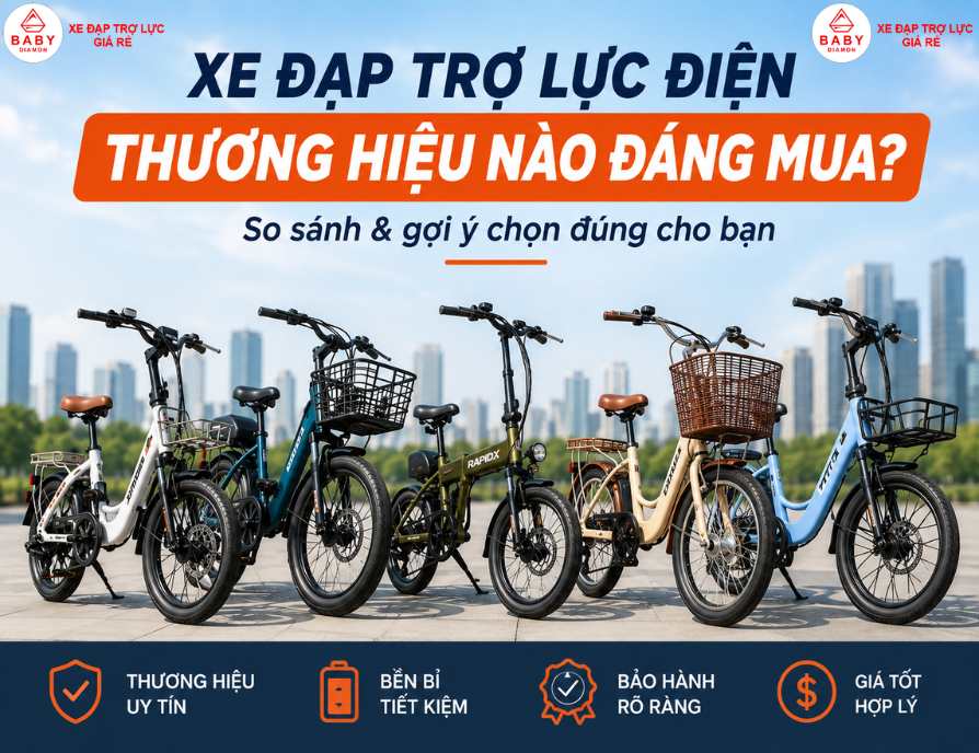 Xe đạp trợ lực điện giá rẻ thương hiệu nào đáng mua