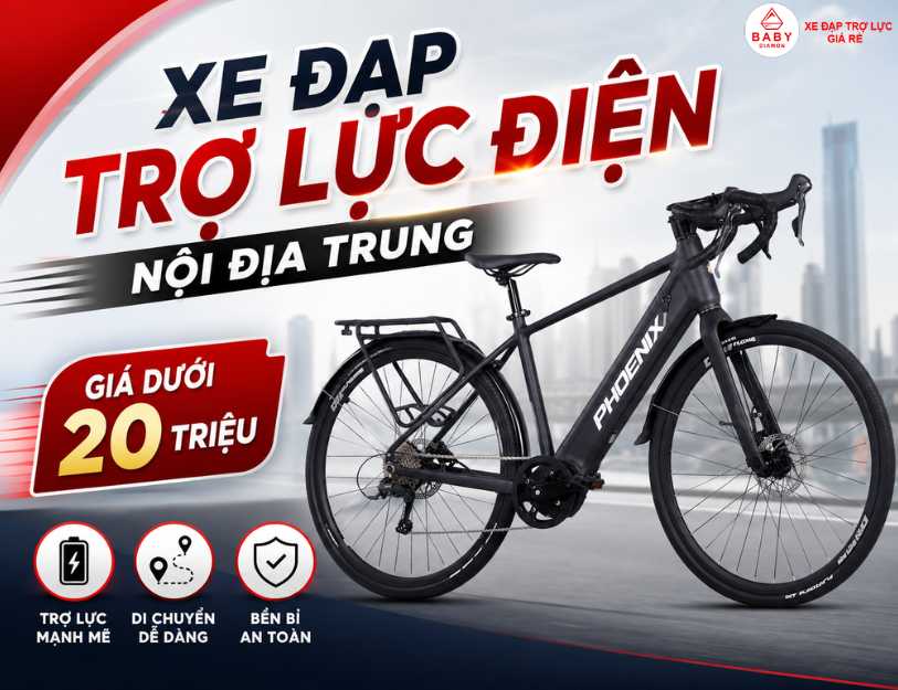 Xe đạp trợ lực điện nội địa Trung giá dưới 20 triệu