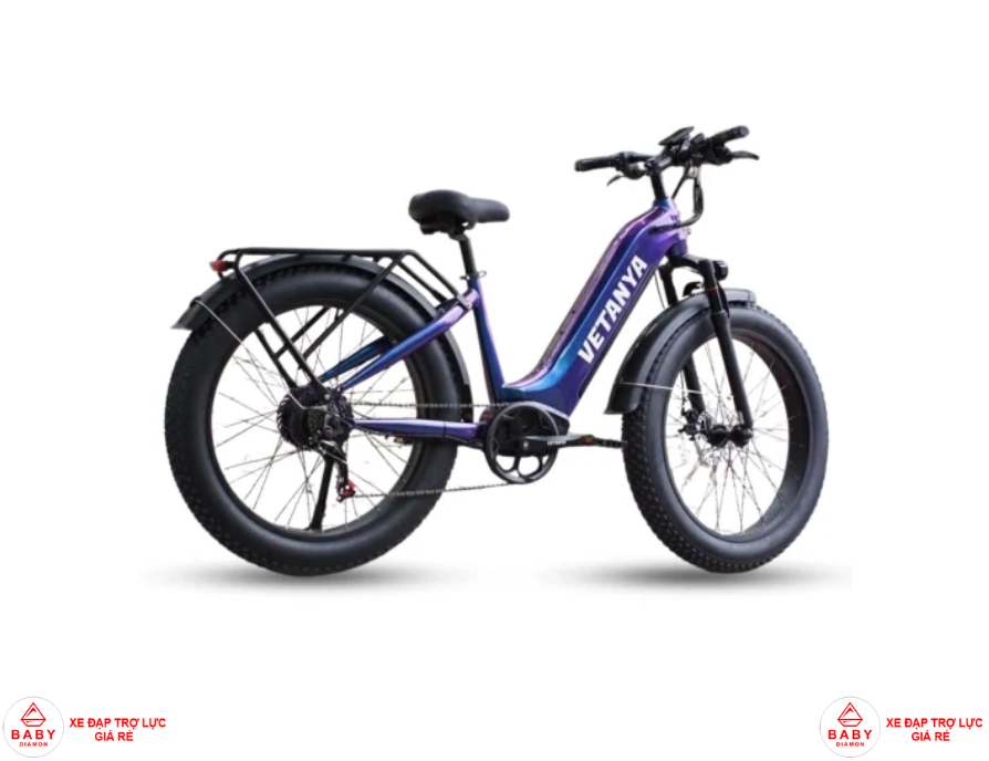 có nên mua xe đạp trợ lực điện giá rẻ dưới 5 triệu không
