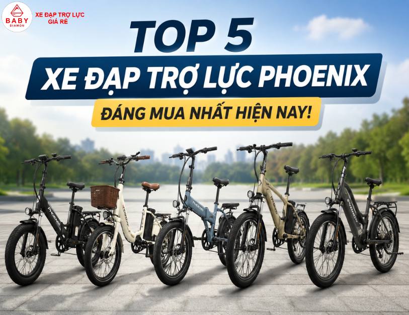 top 5 xe đạp trợ lực Phoenix