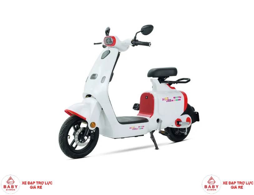 Nên mua xe đạp trợ lực điện hay xe đạp điện
