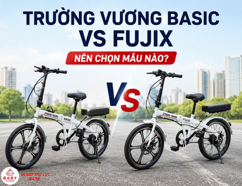 Xe đạp trợ lực Trường Vương Basic và Trường Vương Fujix khác nhau ở đâu?