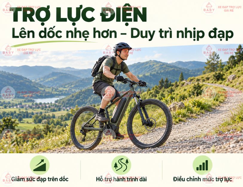 Xe đạp địa hình trợ lực điện