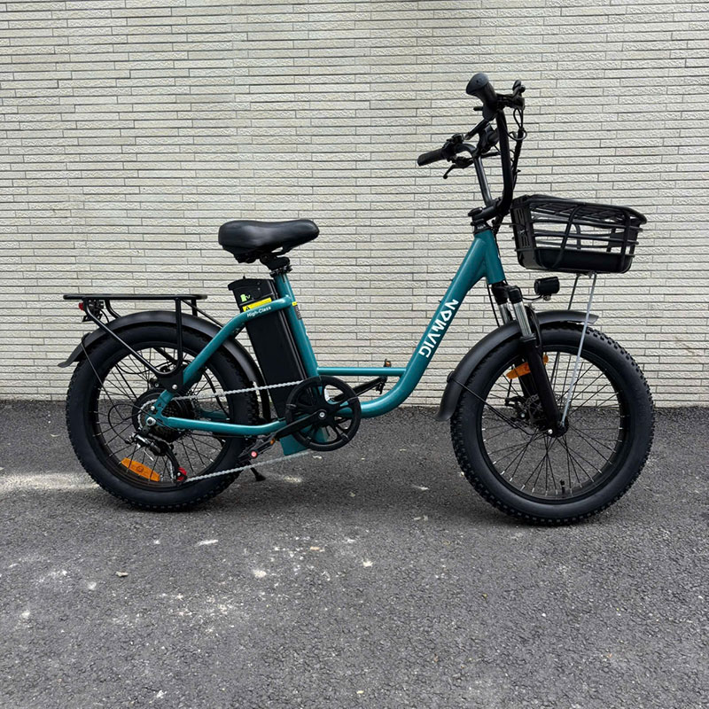 Xe đạp trợ lực Diamon ZX Pro, bánh béo, hàng nội địa nhật